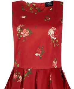 Women's Apparel Dolly & Dotty Annie Swing Dress In Floral Chintz Print