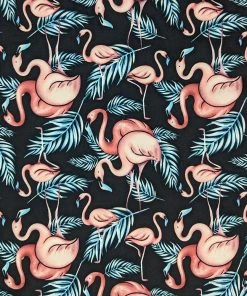 Women's Apparel Banned Honnie Flamingo Flare Dress In Black