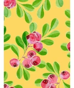 Miss Lulo Heidi Swing Dress In Strawberry Guava Print